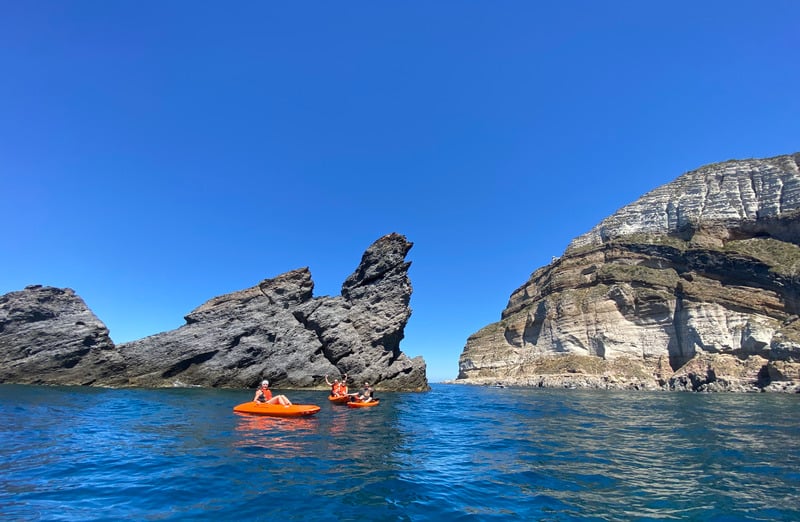 Ischia Savage: TOUR Kayak experience