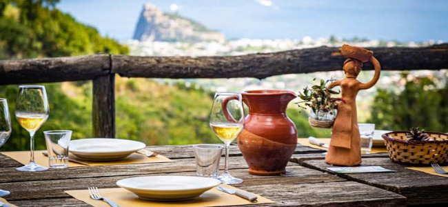 Tenuta del Cannavale BIO Experience: Passeggiata nella Natura con degustazione
