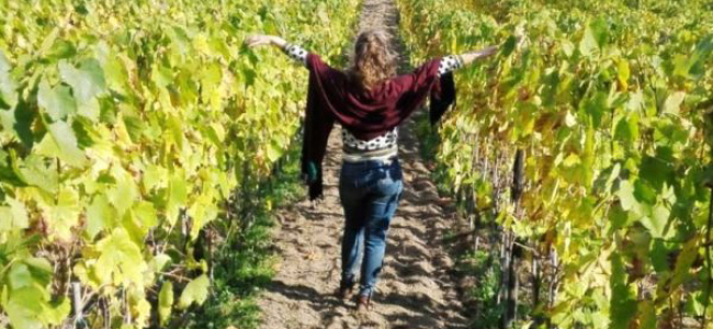 Tenuta del Cannavale BIO Experience: Passeggiata nella Natura con degustazione