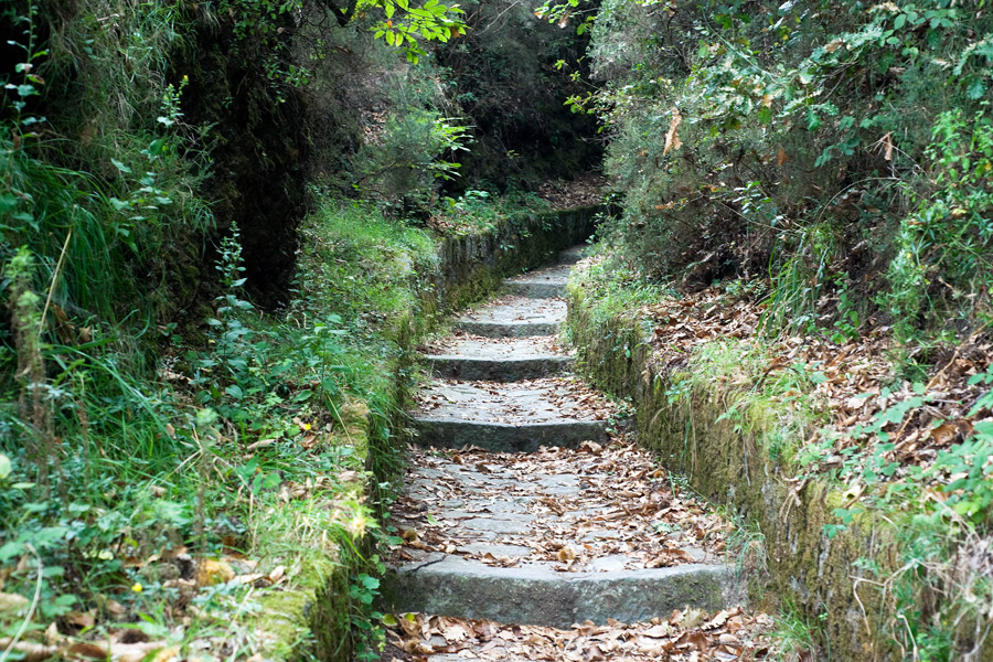 Tra sorgenti e vulcani