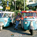 Ischia of past times: island tour by microtaxi