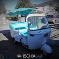 Ischia of past times: island tour by microtaxi