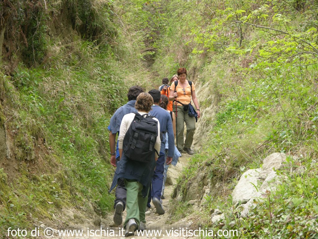 Escursione: Geo trekking in montagna