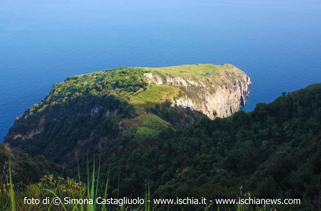 Escursione: Isola affascinante est in minibus