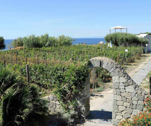 Hotel Terme Il Gattopardo