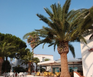 Hotel Parco San Marco